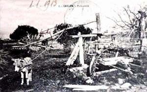 Puits typiques d'AFN - 047